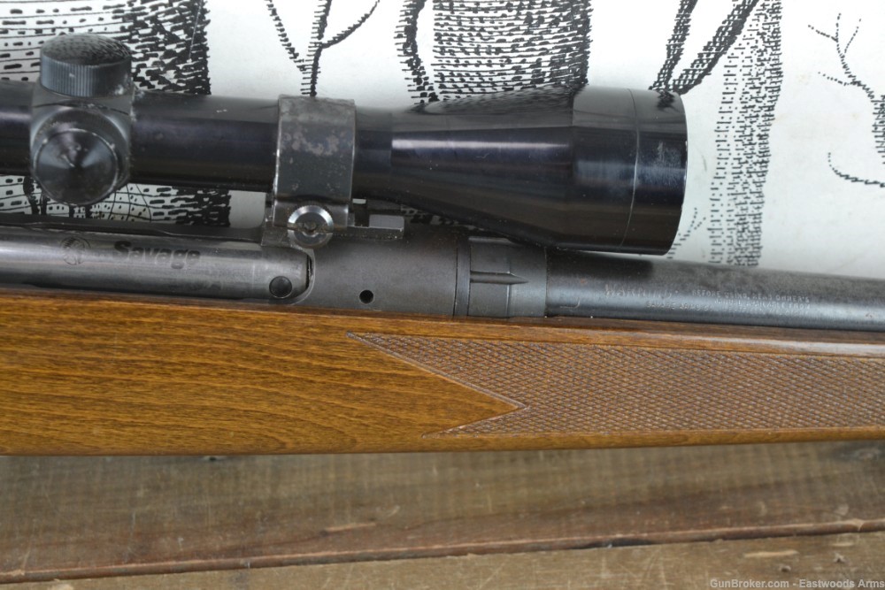 Savage 110 .243 Winchester Bushnell Scope-img-9