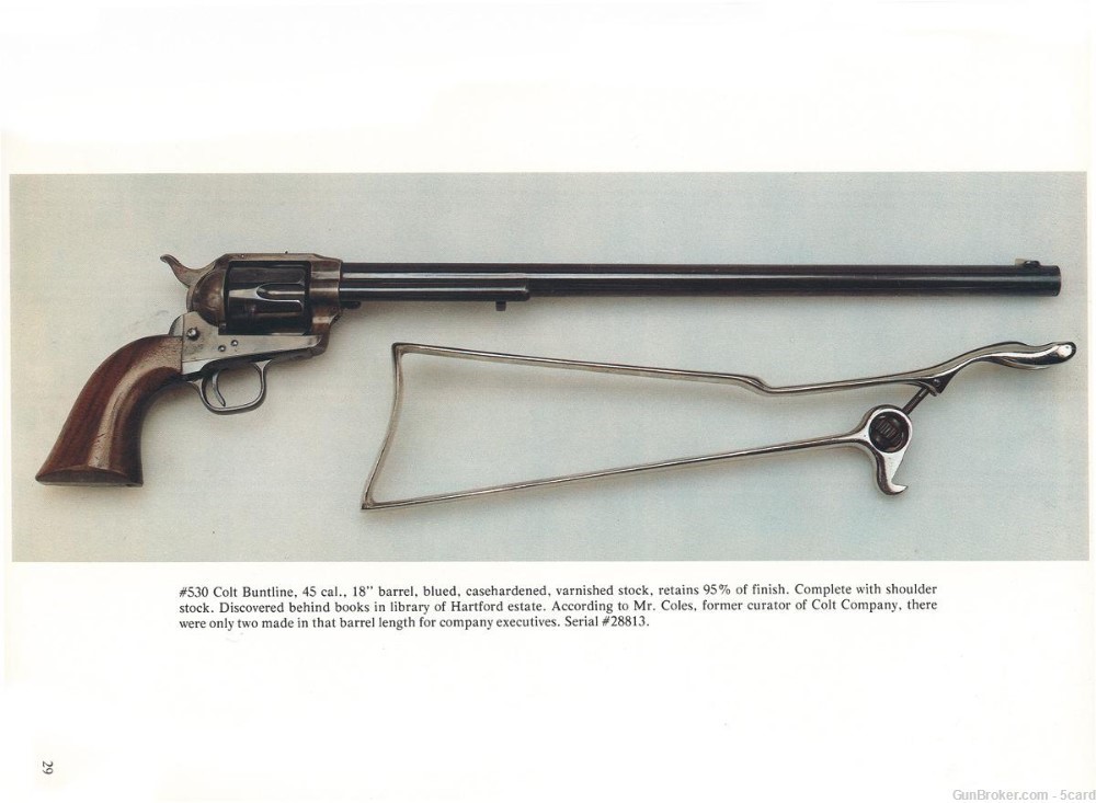 Colt SAA or Clone Skeleton Stock-img-8