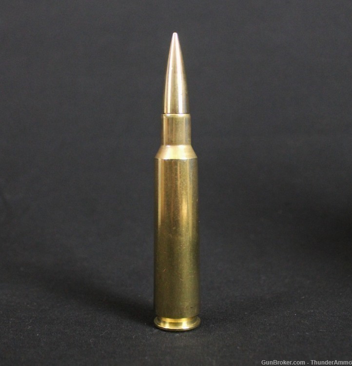Thunder Ammo .460 Steyr Dummy Round 576gr Tactical Match Brass Projectile-img-0