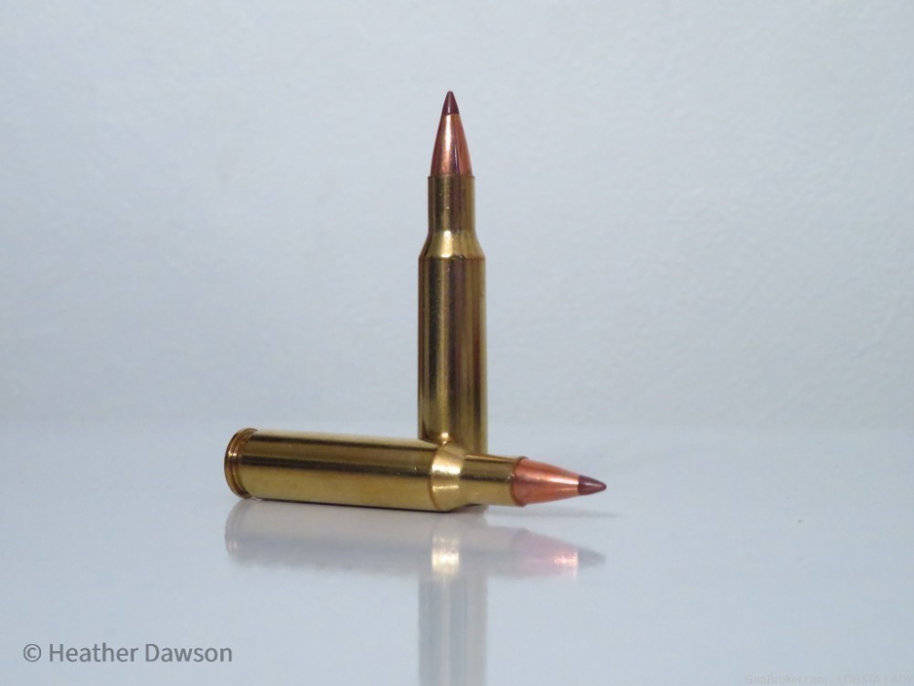 20 RDS HORNADY 222 Remington NTX 35 GR 3760 FPS VARMINT KILLER #8309-img-5