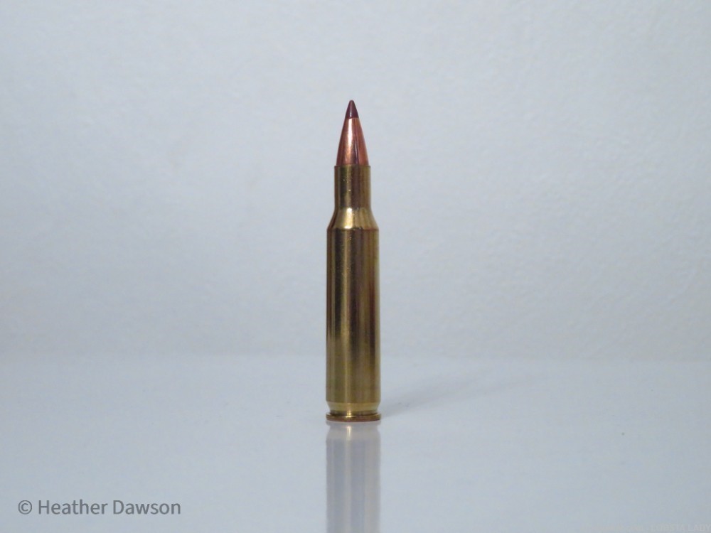 20 RDS HORNADY 222 Remington NTX 35 GR 3760 FPS VARMINT KILLER #8309-img-6