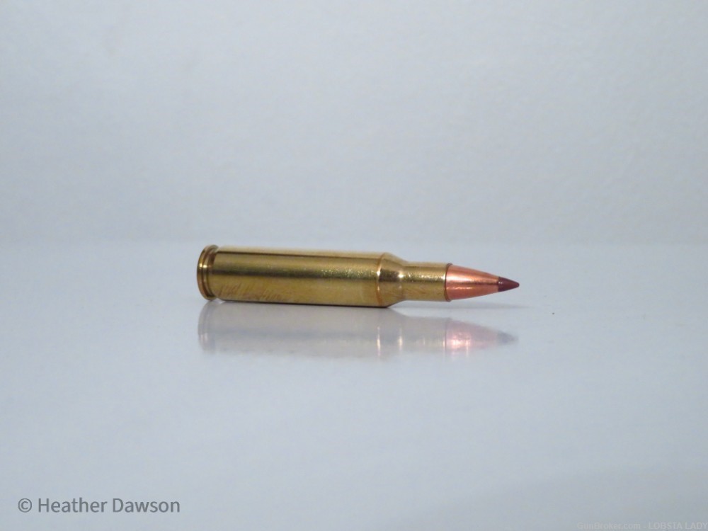20 RDS HORNADY 222 Remington NTX 35 GR 3760 FPS VARMINT KILLER #8309-img-7