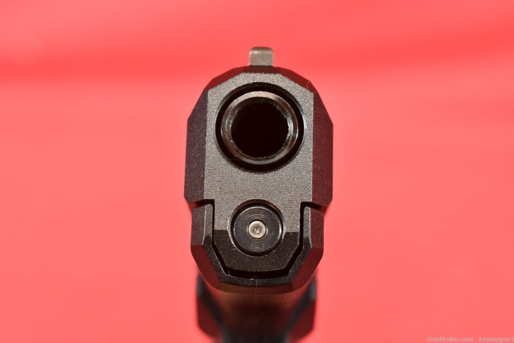 Ruger Max-9 9mm 12+1 OR-img-22