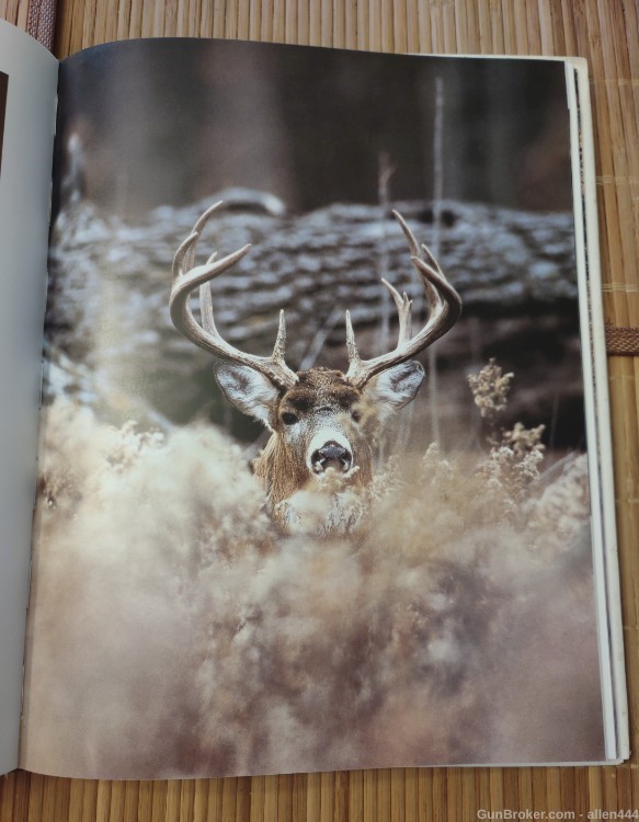 MAJESTIC WHITETAILS BOOK-img-1