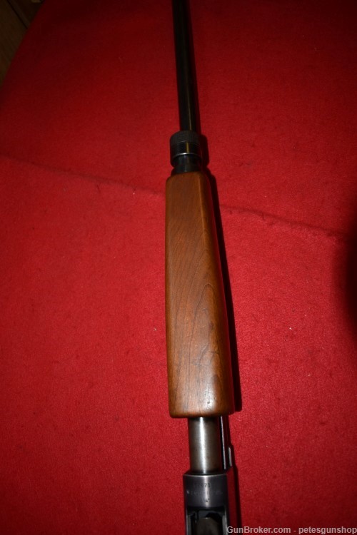 Sears Model 200 Shotgun, 16 Ga, (Winchester), Nice, Penny START!-img-8