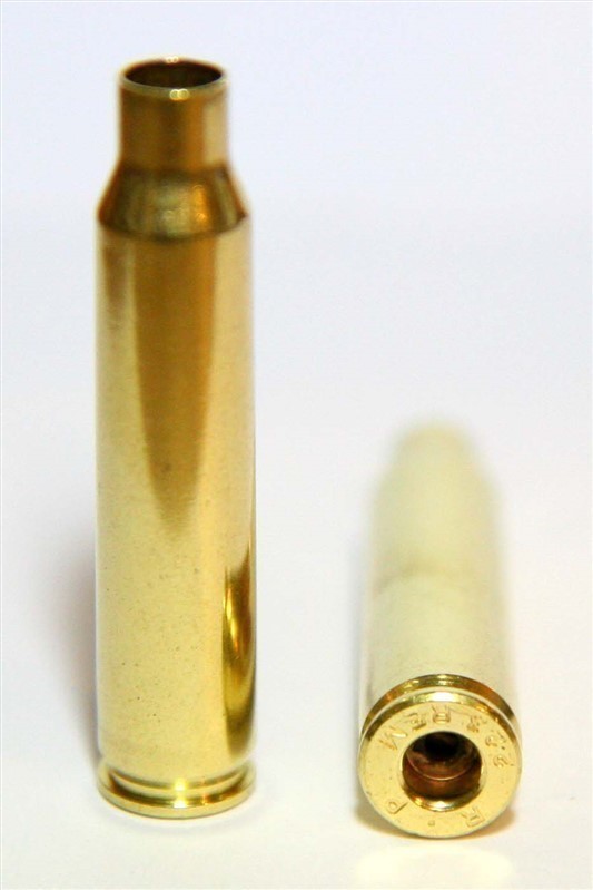 ..223 Brass PREPPED and POLISHED Casings 300ct-img-0