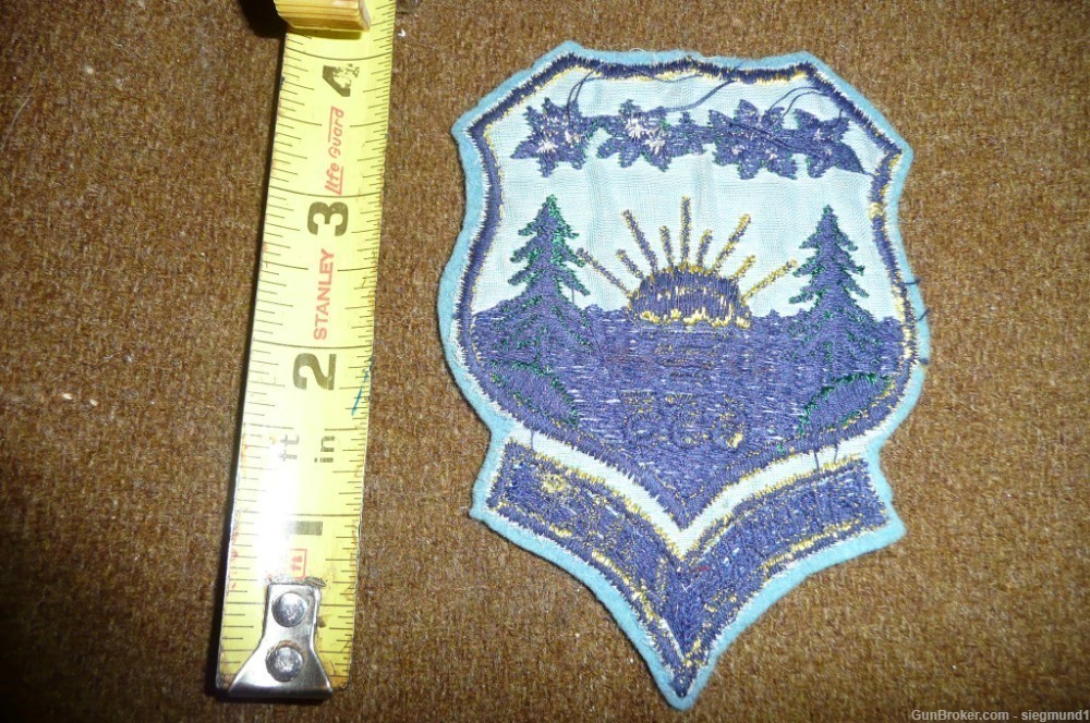 Civilian Conservation Corps (CCC) Patch, 655 Michigan region, 1930s-img-0