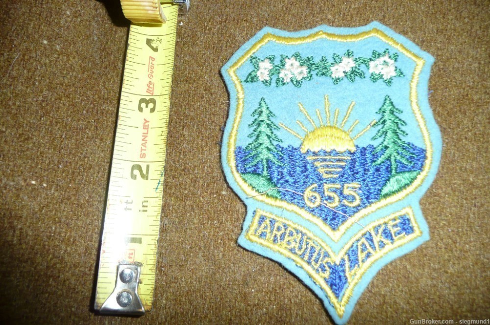 Civilian Conservation Corps (CCC) Patch, 655 Michigan region, 1930s-img-1