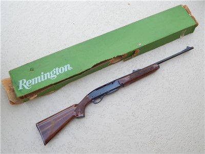Mint Unfired Remington 742 Woodsmaster Rifle in 243 Caliber.