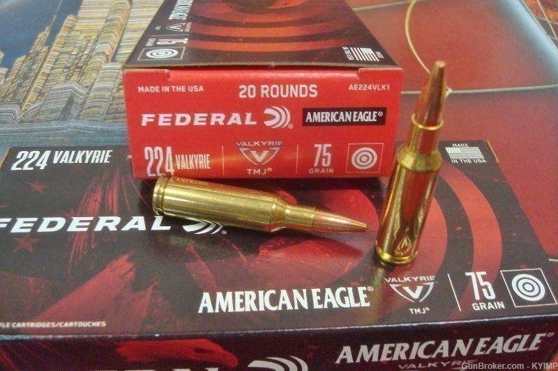200 FEDERAL .224 TMJ 75 gr brass American Eagle Ammunition AE224VLK1-img-3