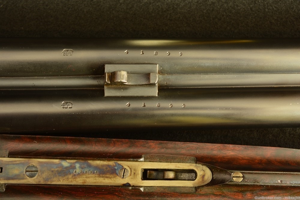 WW Greener cased High grade gold inlaid 8 gauge hammer gun-img-34