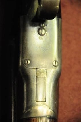 American Arms Whitmore boxlock 12 double-img-9