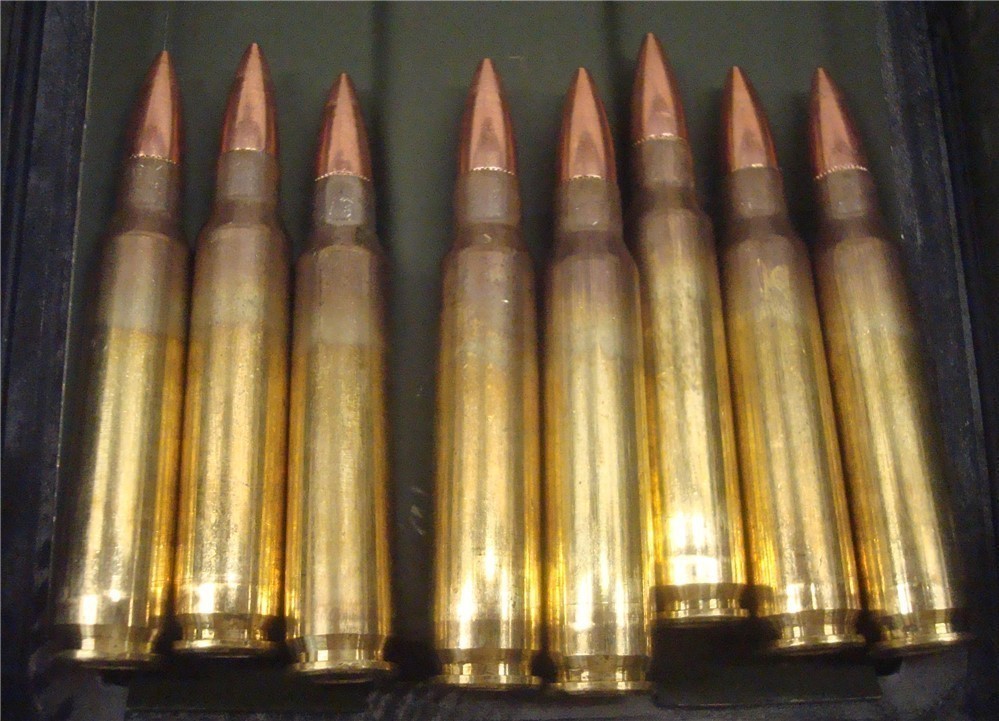 200 FEDERAL 223 FMJ 55 gr brass ammunition in plastic ammo Can AE223-img-2