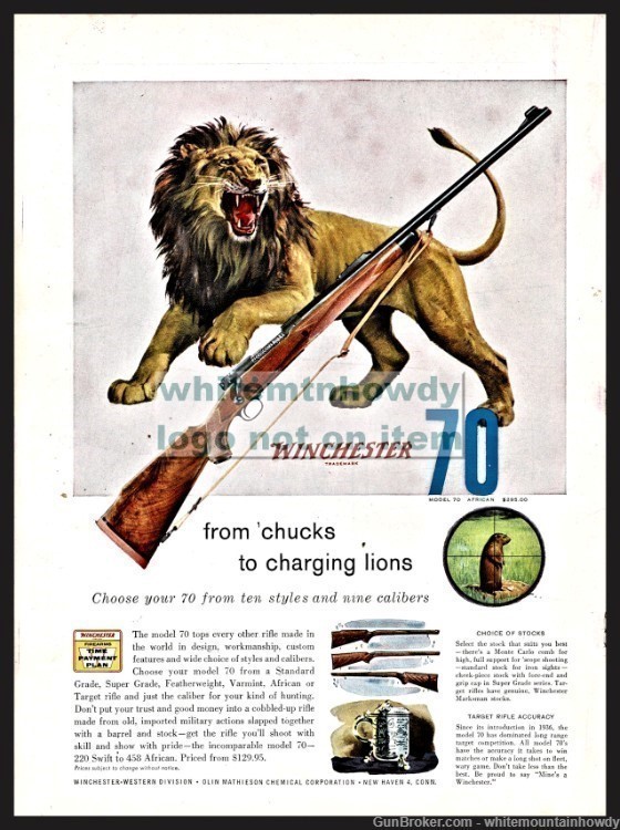 1958 WINCHESTER Model 70 Bolt Action Rifle PRINT AD Lion Hunting-img-0