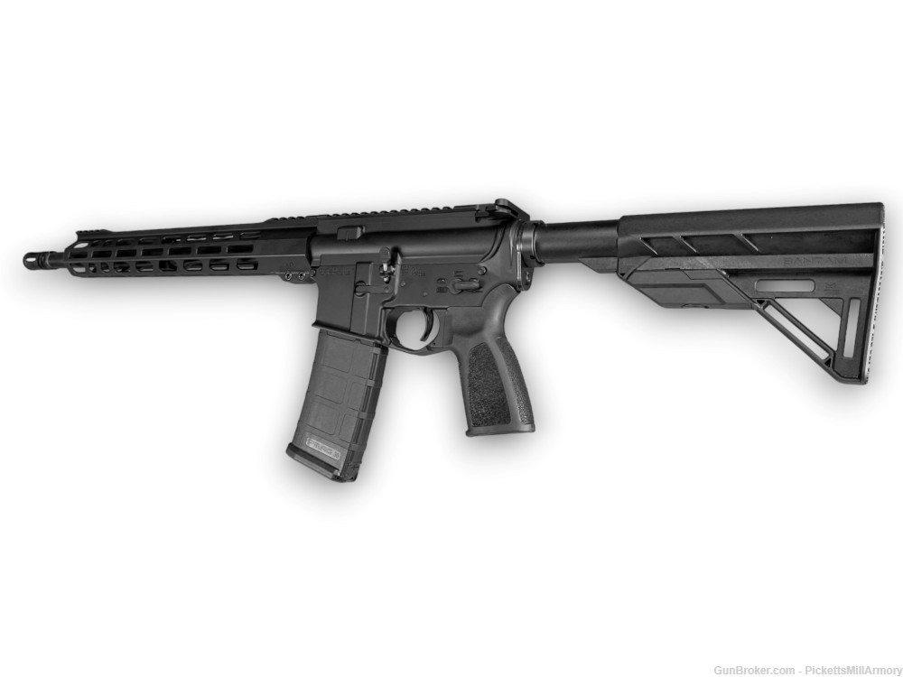 AR 15 rifle PMA .300 Blackout ar-15-img-2