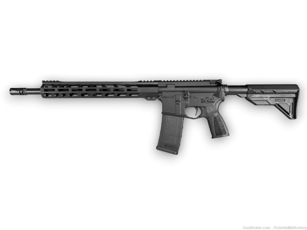 AR 15 rifle PMA .300 Blackout ar-15-img-0