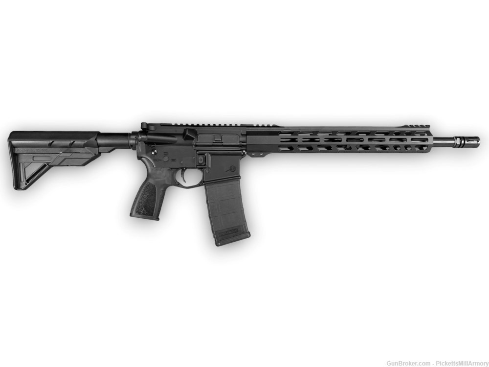 AR 15 rifle PMA .300 Blackout ar-15-img-3