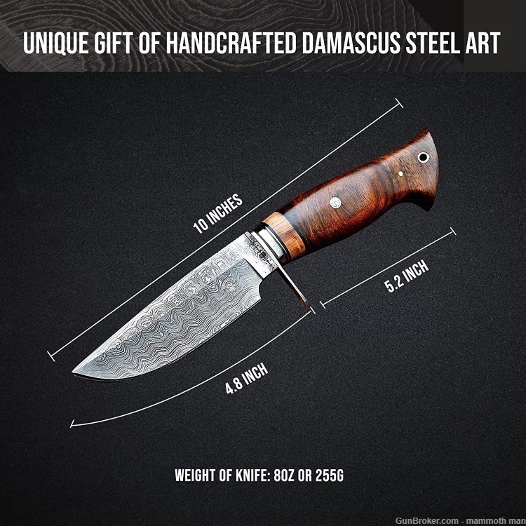 Fixed blade Folded steel Damascus Knife Walnut handle premium sheath-img-2