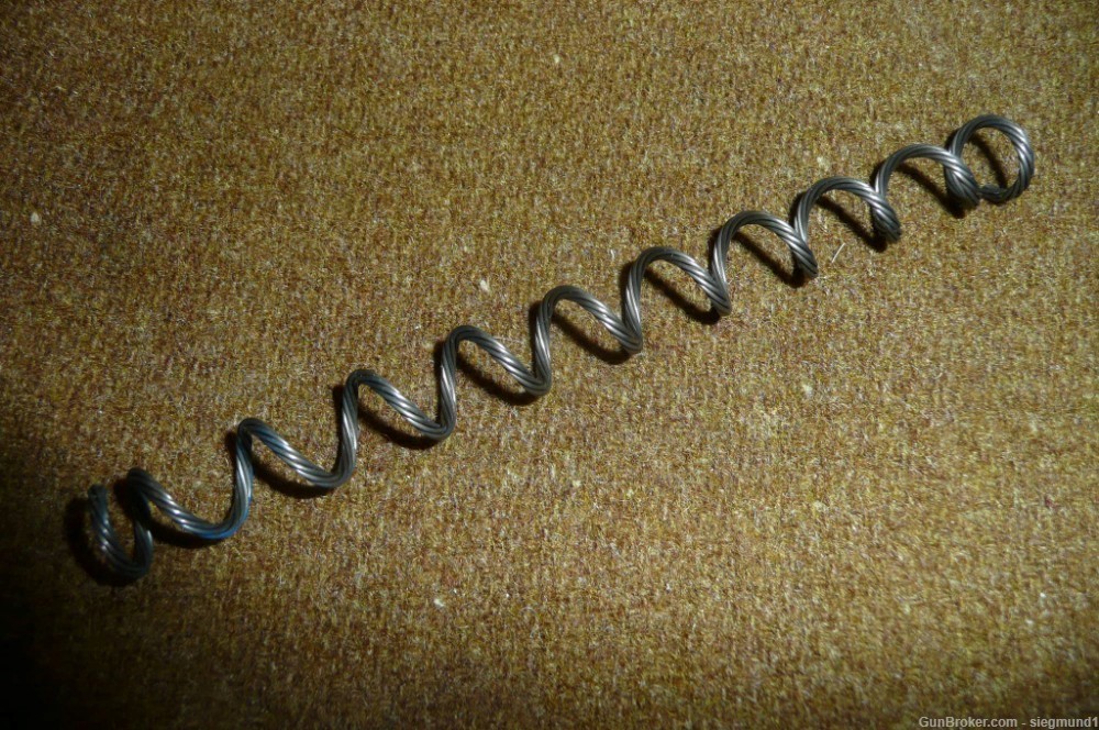 Sig Sauer P250 recoil Spring-img-0
