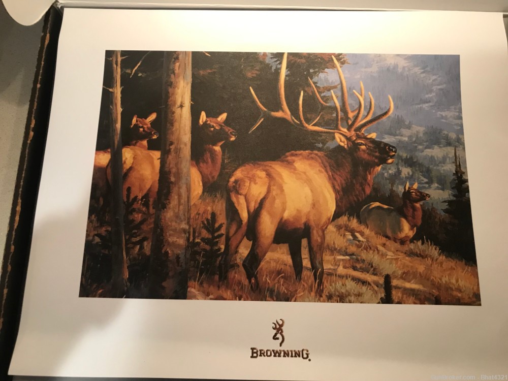 Browning Hunting Heritage Series (Model 25 Elk), papers, box, display-img-2