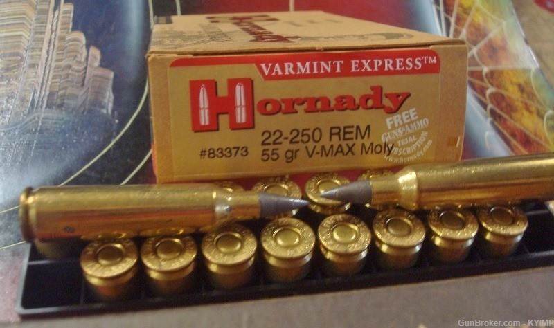 200 Hornady 22-250 V-MAX MOLY 55 gr Varmint Express NEW ammunition 83373-img-2