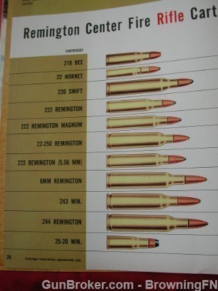 Orig Remington 1967 Catalog Model 11-48 870 700-img-21