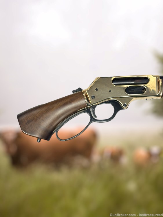 Henry H01BAH Lever Action Shotgun .410GA 15"BBL w/Box-img-1