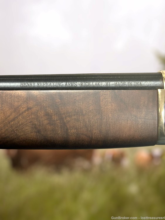 Henry H01BAH Lever Action Shotgun .410GA 15"BBL w/Box-img-5