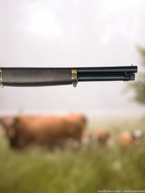 Henry H01BAH Lever Action Shotgun .410GA 15"BBL w/Box-img-2
