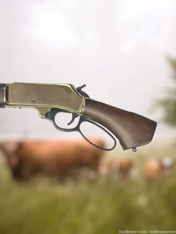 Henry H01BAH Lever Action Shotgun .410GA 15"BBL w/Box-img-10