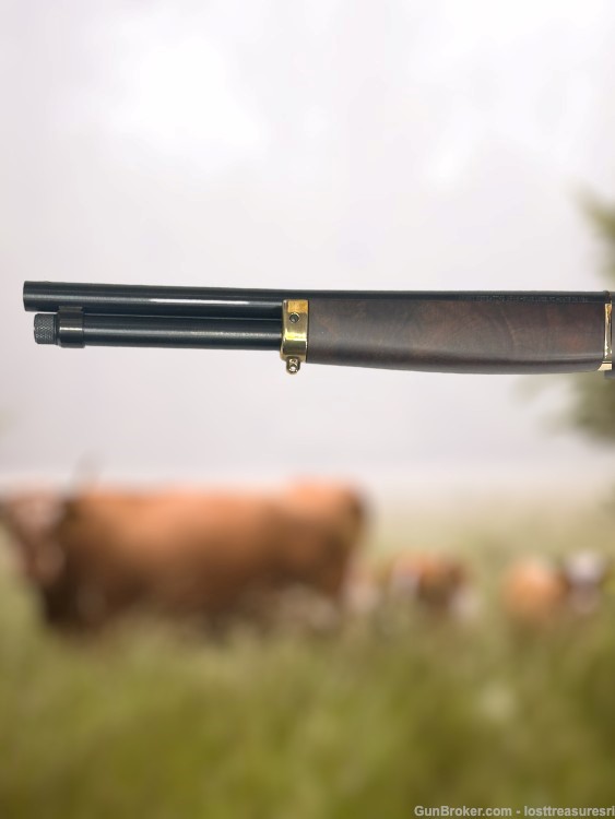 Henry H01BAH Lever Action Shotgun .410GA 15"BBL w/Box-img-9