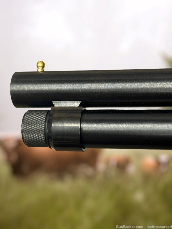Henry H01BAH Lever Action Shotgun .410GA 15"BBL w/Box-img-4