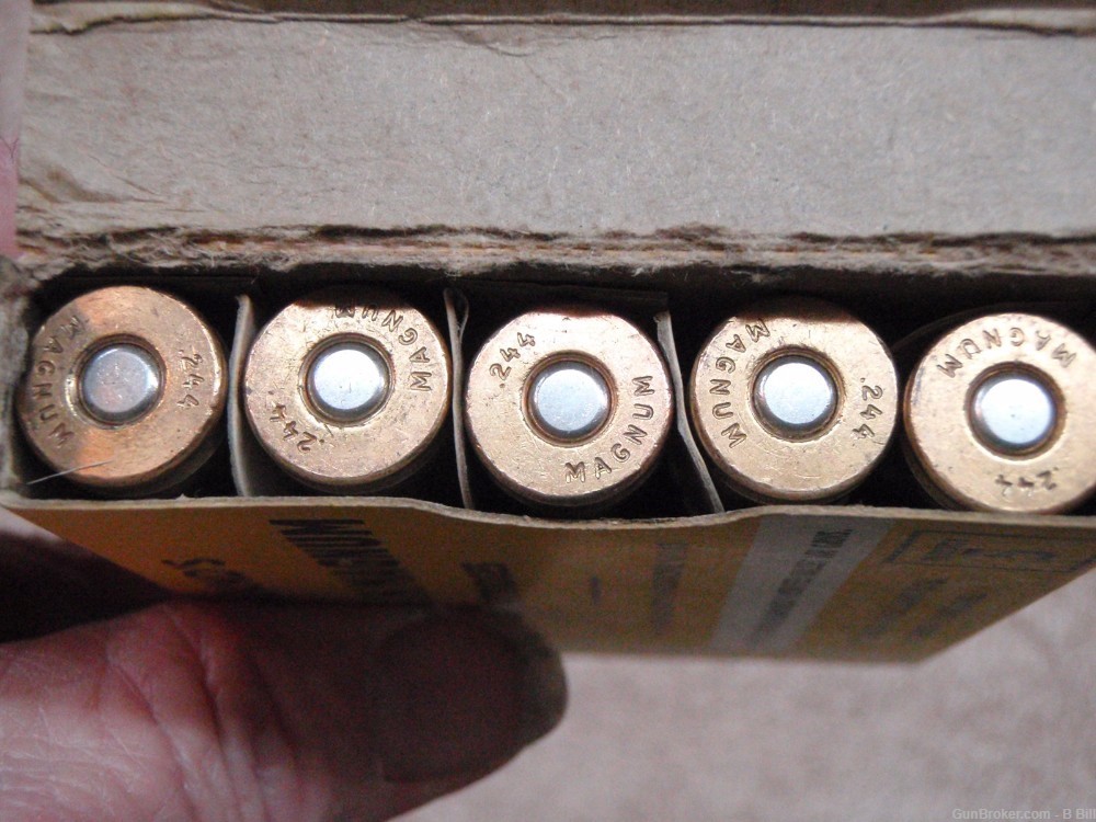 244 H&H Holland Magnum Ammo EXTREMELY RARE-img-4