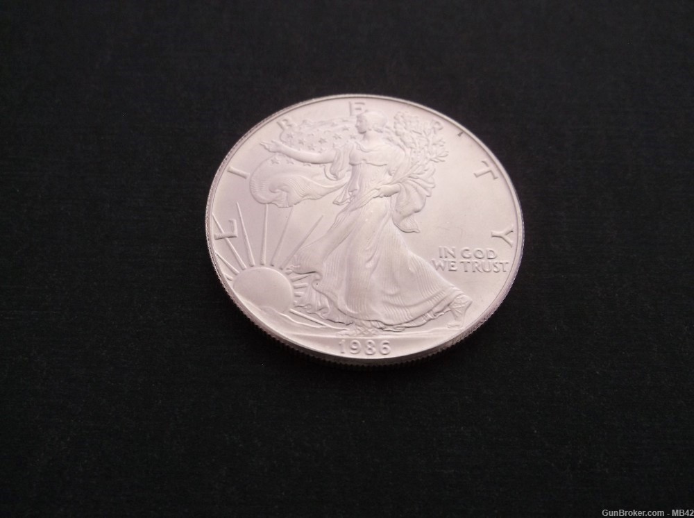 Silver Eagle 1 oz US Silver Dollar-img-1