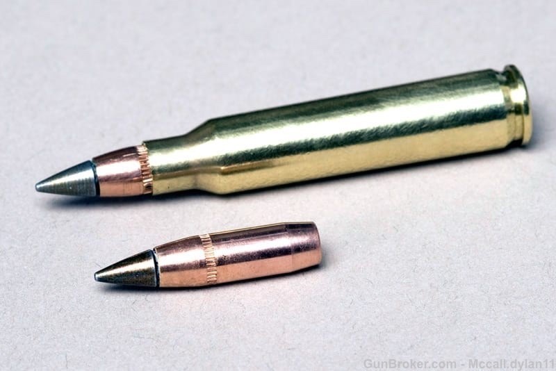 M855A1 EPR 100 rounds -img-0