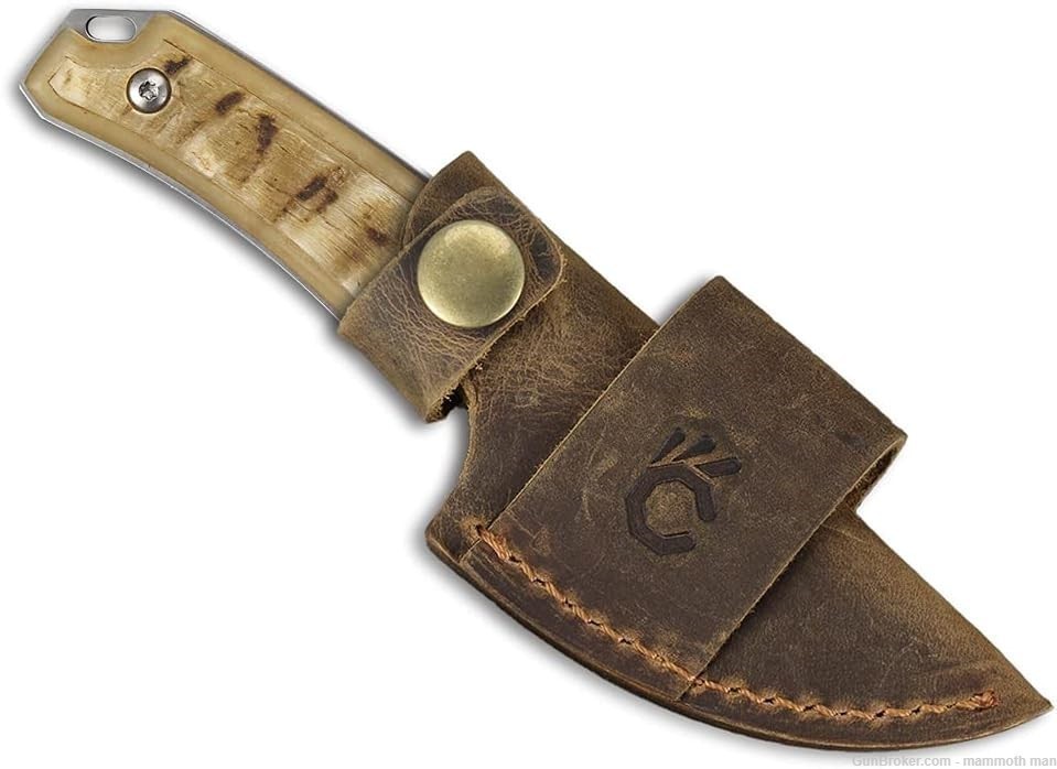 Skinner knife Ram horn leather sheath-img-2