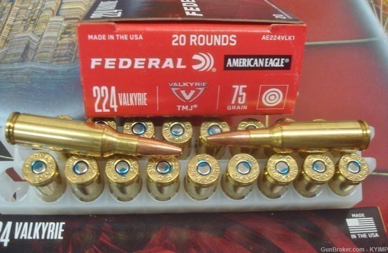 200 FEDERAL .224 TMJ 75 gr brass American Eagle Ammunition AE224VLK1-img-2