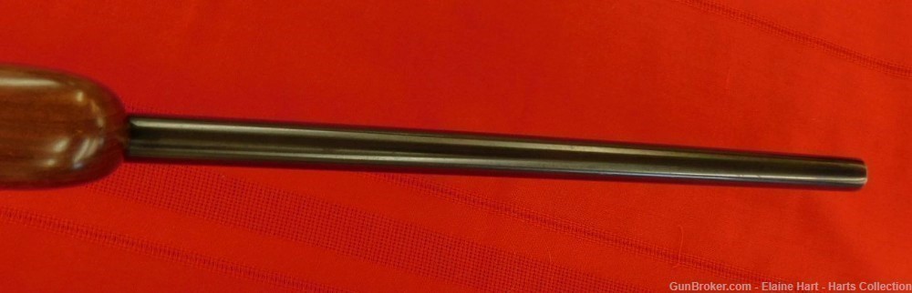 Ruger 77  (5521)-img-18