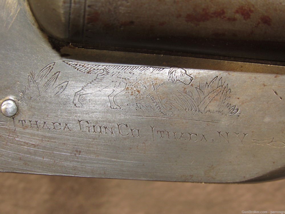 Vintage Ithaca Gun Company Flues 12 GA SxS 28" Solid Rib 1912 C&R-img-4