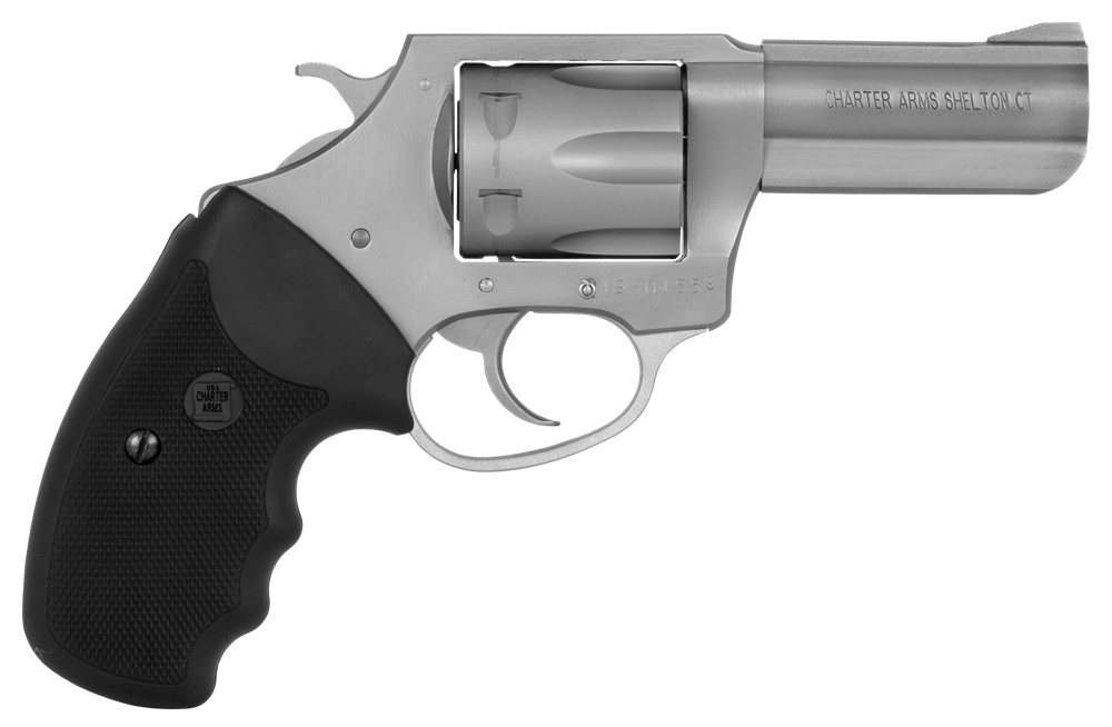 Charter Arms 73802 Pitbull  380 ACP Caliber with 3 Stainless Finish Barrel,-img-0