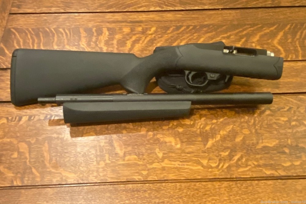 Ruger 10/22 Takedown with Gemtech Mist-img-1