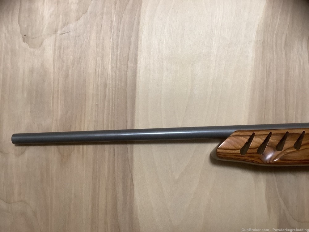 Ruger 17 HMR All Weather -img-1