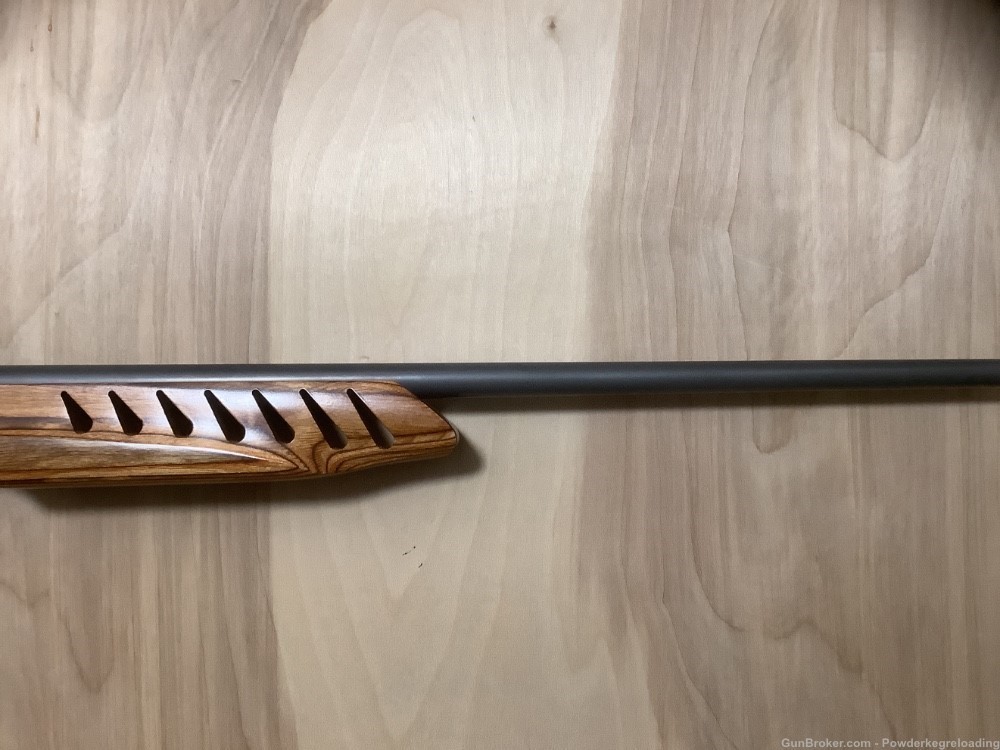 Ruger 17 HMR All Weather -img-7