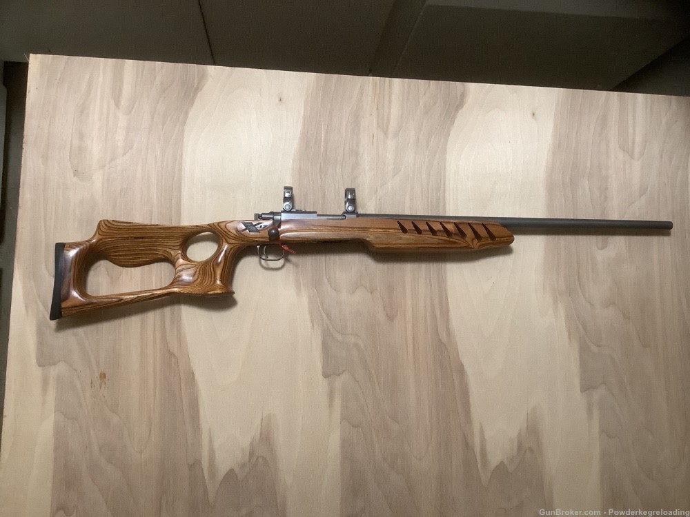 Ruger 17 HMR All Weather -img-4
