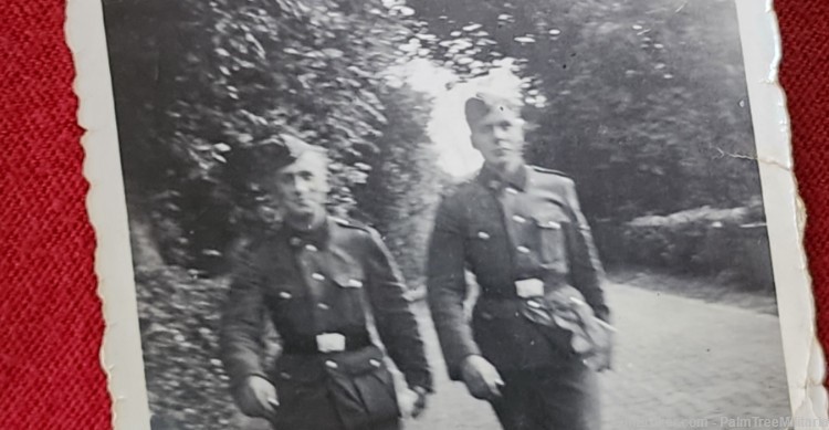 Rare WWII WW2 German NSDAP Third Reich SS soldiers photos Holland 1940!  -img-4