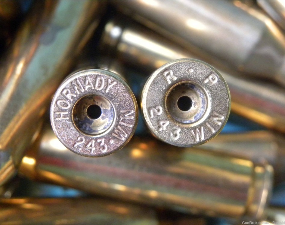 64 Rds of Hornady Brand Brass for 243 Win Polished and Deprimed-img-1