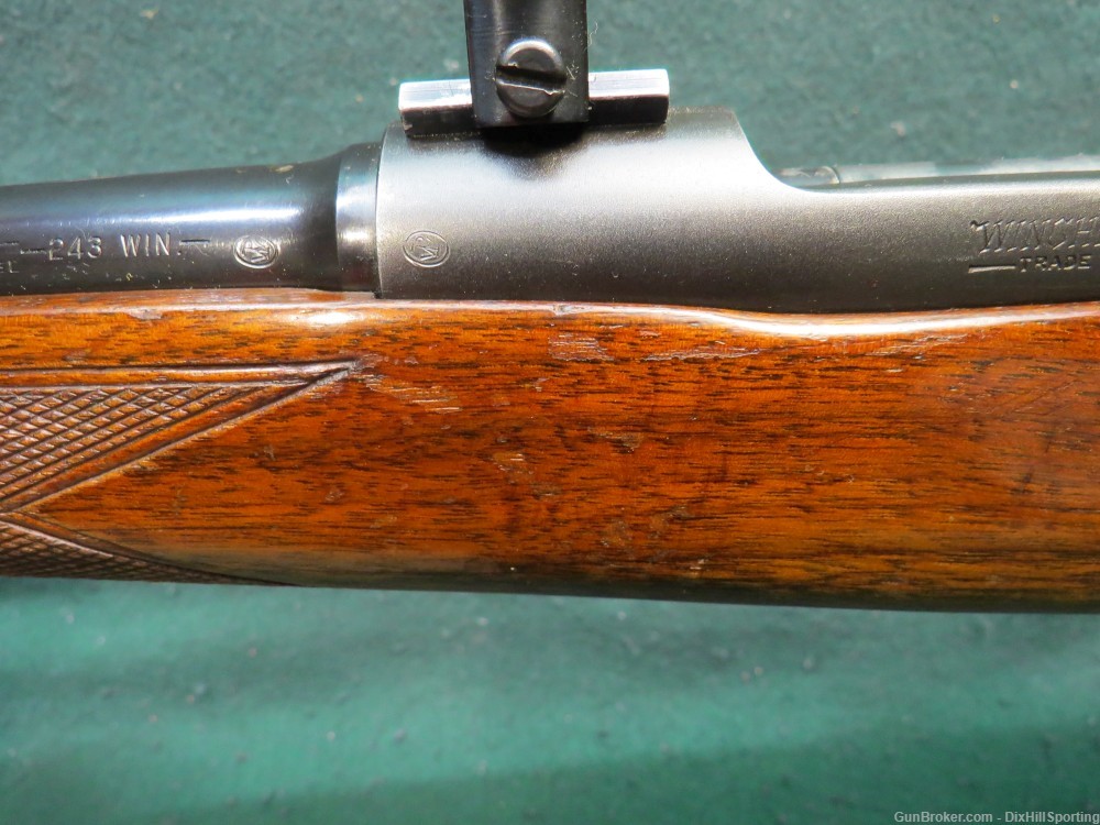 Winchester 70 Featherweight .243 Win 1955 pre-64 Good to Very Good Cond-img-10