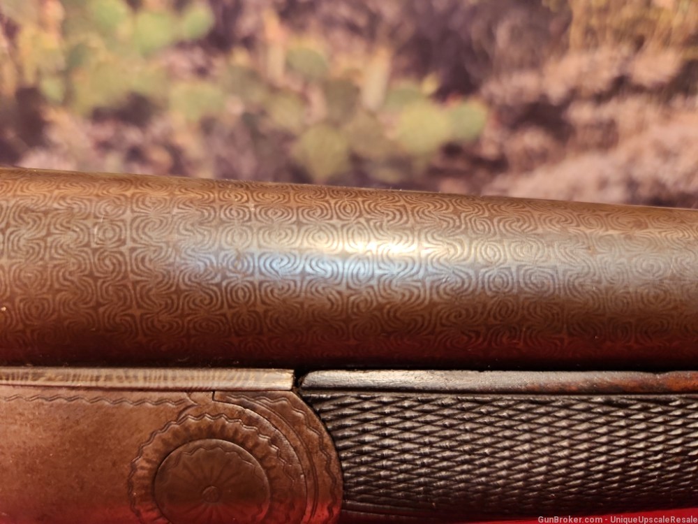 Colt 1883 hammerless double barrel 12 gauge shotgun-img-7