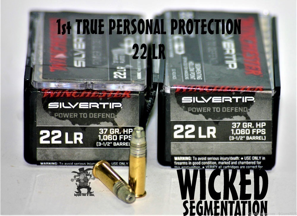 22 LR Winchester SilverTip "Wicked" 4-Way Segmented Silver Tip 22LR 100Rds-img-3