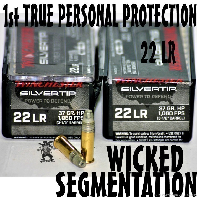 22 LR Winchester SilverTip "Wicked" 4-Way Segmented Silver Tip 22LR 100Rds-img-0